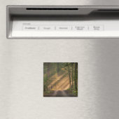 Zonnelicht door een bos magneet (Insitu (Vaatwasser))