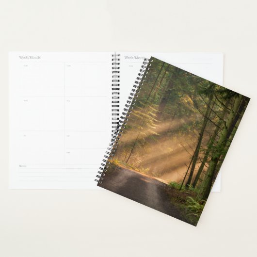 Zonnelicht door een bos planner (Display)