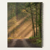 Zonnelicht door een bos planner (Achterkant)