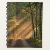 Zonnelicht door een bos planner (Voorkant)