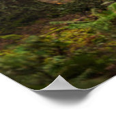 Zonnelicht door een bos poster (Hoek)