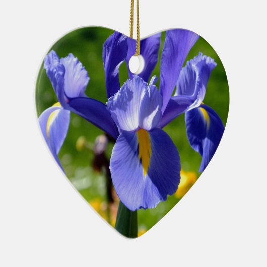 Zonnelicht op blauwe iris keramisch ornament (Rechts)