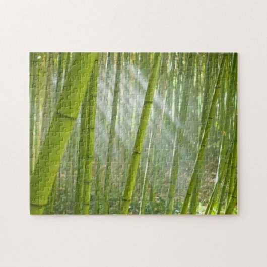 Zonnelichtfiltering door bamboe legpuzzel (Horizontaal)
