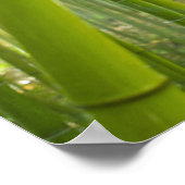 Zonnelichtfiltering door bamboe poster (Hoek)
