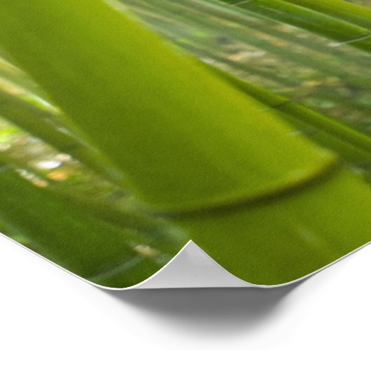 Zonnelichtfiltering door bamboe poster (Hoek)