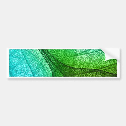 Zonnelichtfiltering door transparante bladeren bumpersticker (Voorkant)