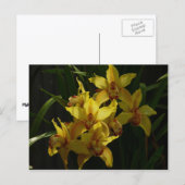 Zonnelichtgele orchideeën Floral Briefkaart (Voorkant / Achterkant)