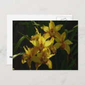 Zonnelichtgele orchideeën Floral Briefkaart (Voorkant / Achterkant)