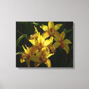 Zonnelichtgele orchideeën Floral Canvas Afdruk