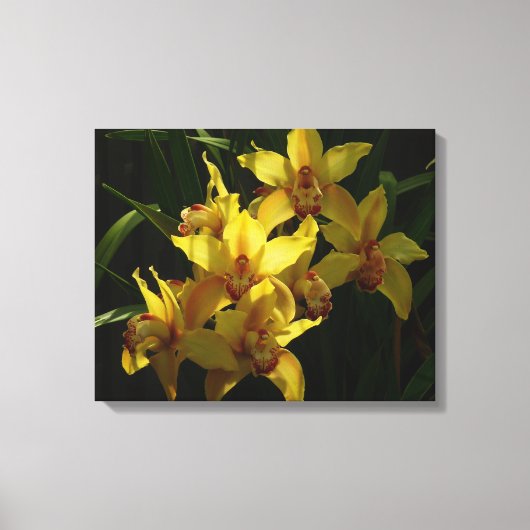 Zonnelichtgele orchideeën Floral Canvas Afdruk (Voorkant)