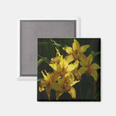 Zonnelichtgele orchideeën Floral Magneet (Voorkant / Achterkant)