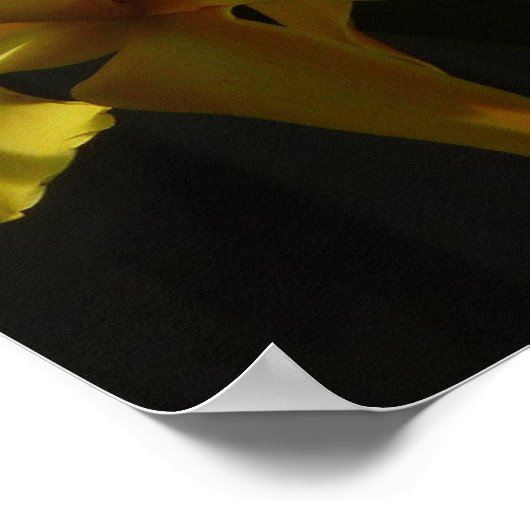 Zonnelichtgele orchideeën Floral Poster (Hoek)