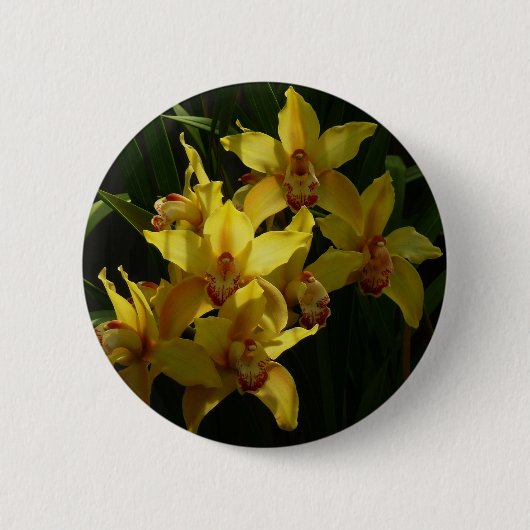 Zonnelichtgele orchideeën Floral Ronde Button 5,7 Cm (Voorkant)