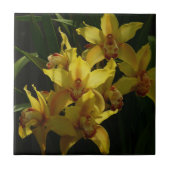 Zonnelichtgele orchideeën Floral Tegeltje (Voorkant)