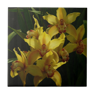 Zonnelichtgele orchideeën Floral Tegeltje