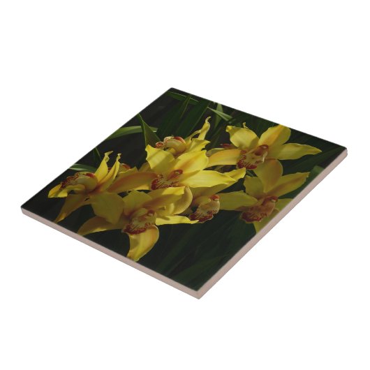 Zonnelichtgele orchideeën Floral Tegeltje (Zijkant)