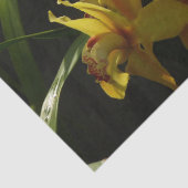 Zonnelichtgele orchideeën Floral Tissuepapier (Detail)