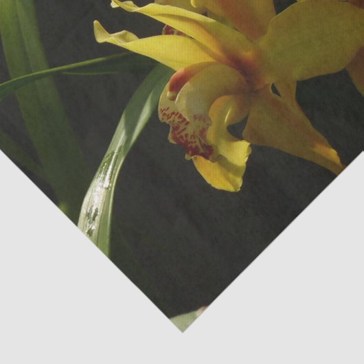 Zonnelichtgele orchideeën Floral Tissuepapier (Detail)