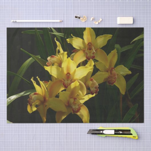 Zonnelichtgele orchideeën Floral Tissuepapier (Craft)