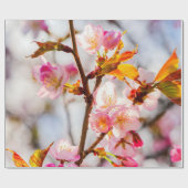 Zonnelichtroze Sakura Flowers. Cherry Blossom Cadeaupapier (Vlak)