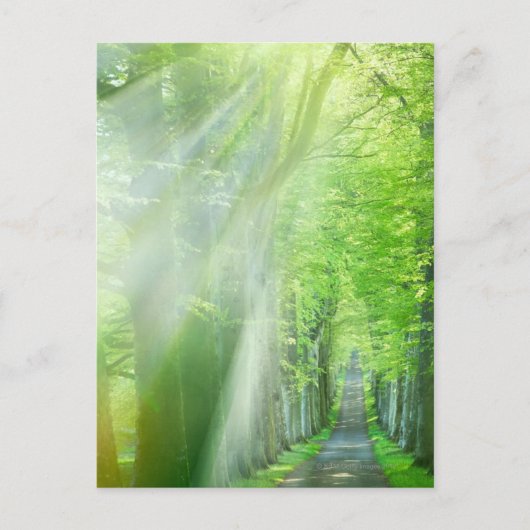 Zonnelichtschaduwen Briefkaart (Voorkant)