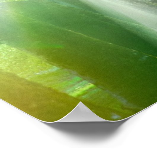 Zonnelichtschaduwen Poster (Hoek)