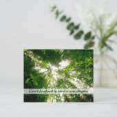 Zonnelichtstreaming door bladeren bomen in het bos briefkaart (Staand voorkant)