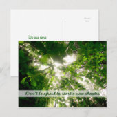 Zonnelichtstreaming door bladeren bomen in het bos briefkaart (Voorkant / Achterkant)