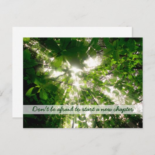 Zonnelichtstreaming door bladeren bomen in het bos briefkaart (Voorkant / Achterkant)