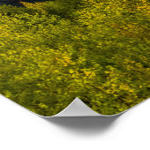 Zonnelichtvallei/-herfstkleurenbos Poster (Hoek)