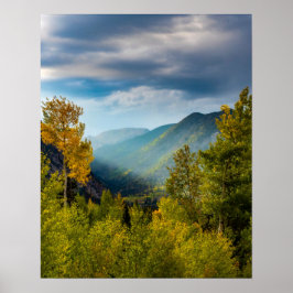 Zonnelichtvallei/-herfstkleurenbos Poster