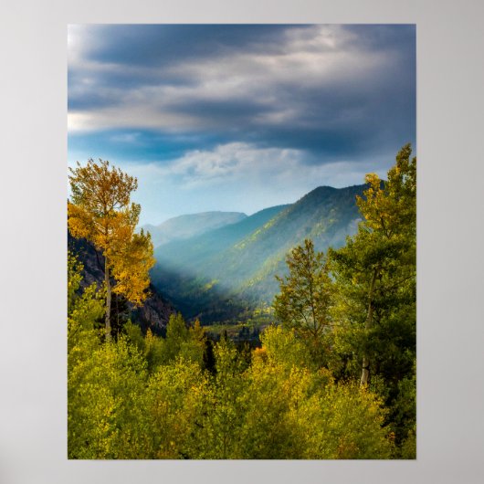 Zonnelichtvallei/-herfstkleurenbos Poster (Voorkant)
