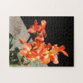 Zonneliefde... Legpuzzel (Horizontaal)