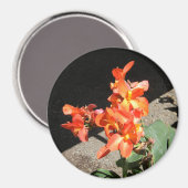 Zonneliefde... Magneet (Voorkant / Achterkant)