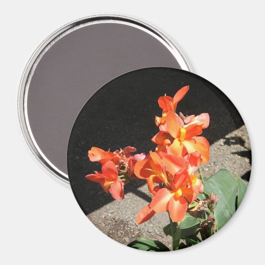 Zonneliefde... Magneet (Voorkant / Achterkant)