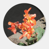 Zonneliefde... Magneet (Voorkant)