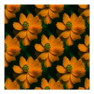 Zonneliefde.. Perfect Poster