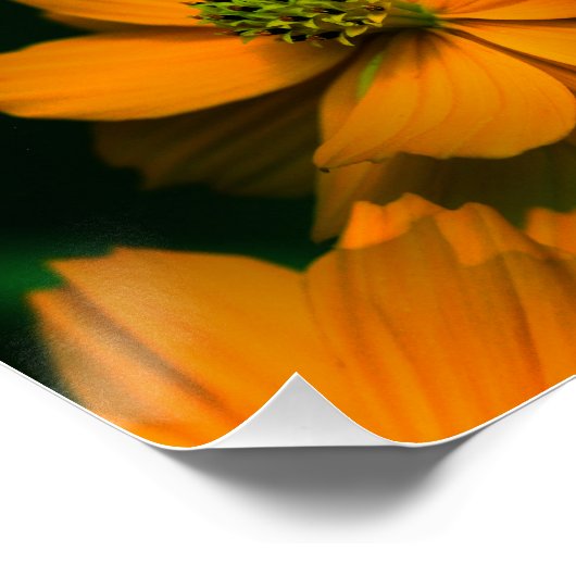 Zonneliefde.. Perfect Poster (Hoek)