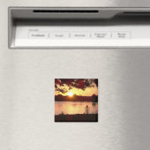 zonnemagneet magneet (Insitu (Vaatwasser))