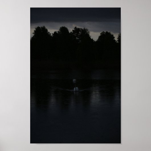 Zonnemeer Regen Zwans Natuur Landschap Poster (Voorkant)