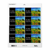 ZONNEN EN LANDEN IN TUSCANY ETIKET (Full Sheet)