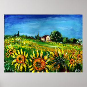 ZONNEN EN LANDEN IN TUSCANY, kolossaal Poster