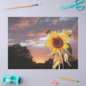 ZONNEN EN SUMMER SUNSET TISSUEPAPIER (Craft)