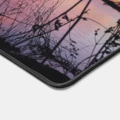 Zonneopgang in de Duck Blind Bureaumat (Hoek)