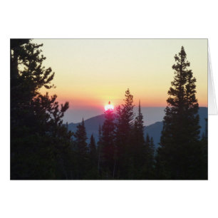 Zonneopgang in het bos in de Rocky Mountain