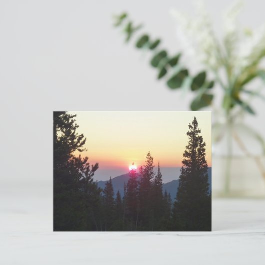 Zonneopgang in het bos in de Rocky Mountain Briefkaart (Staand voorkant)