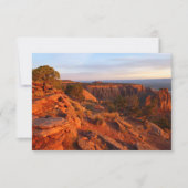 Zonneopgang op het grote Uitzicht spoor bij het CO (Voorkant)