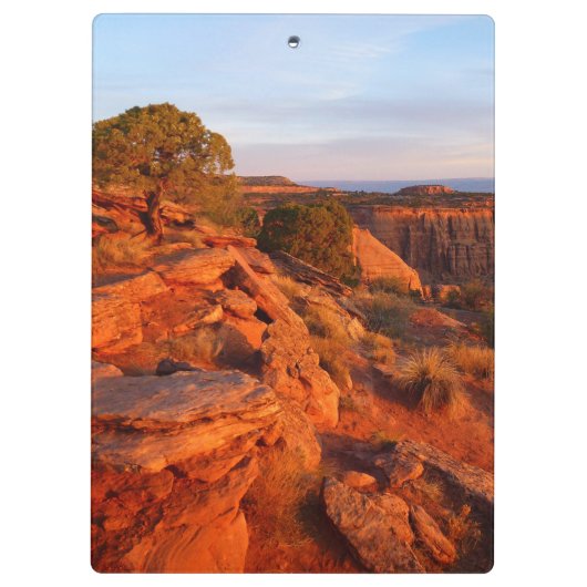 Zonneopgang op het grote Uitzicht spoor bij het CO Klembord (Achterkant)