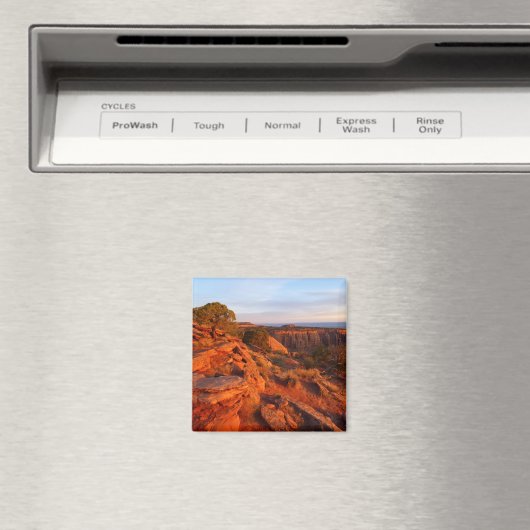 Zonneopgang op het grote Uitzicht spoor bij het CO Magneet (Insitu (Vaatwasser))