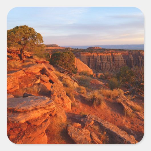Zonneopgang op het grote Uitzicht spoor bij het CO Vierkante Sticker (Voorkant)